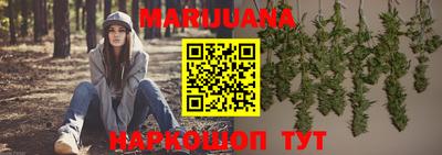 МДПВ Славгород