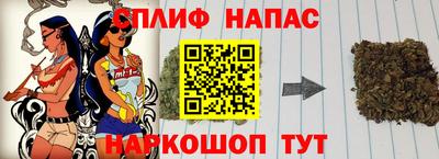 МДПВ Славгород
