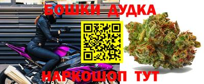 МДПВ Славгород